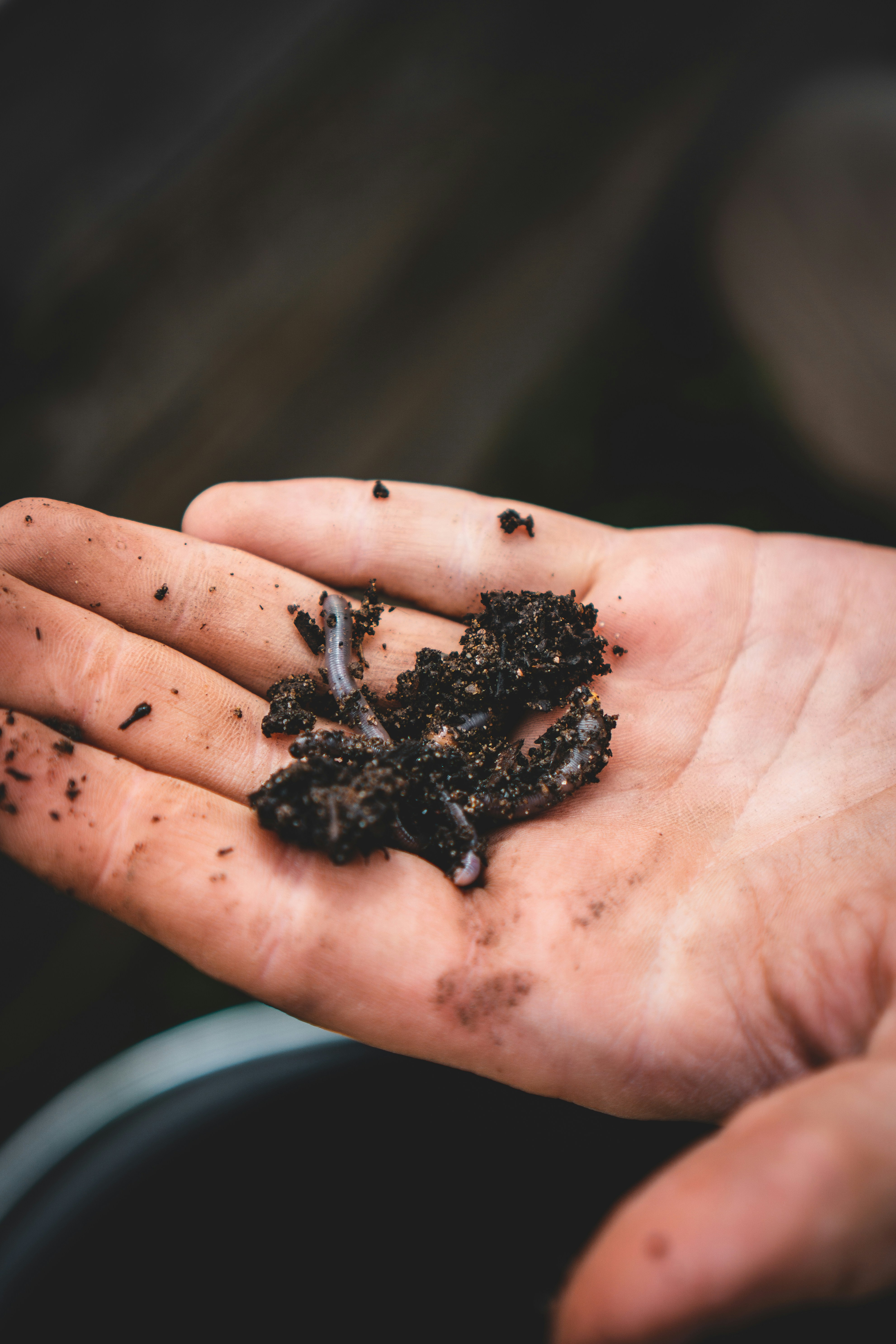 Unearthing the Magic Ways of Vermicomposting