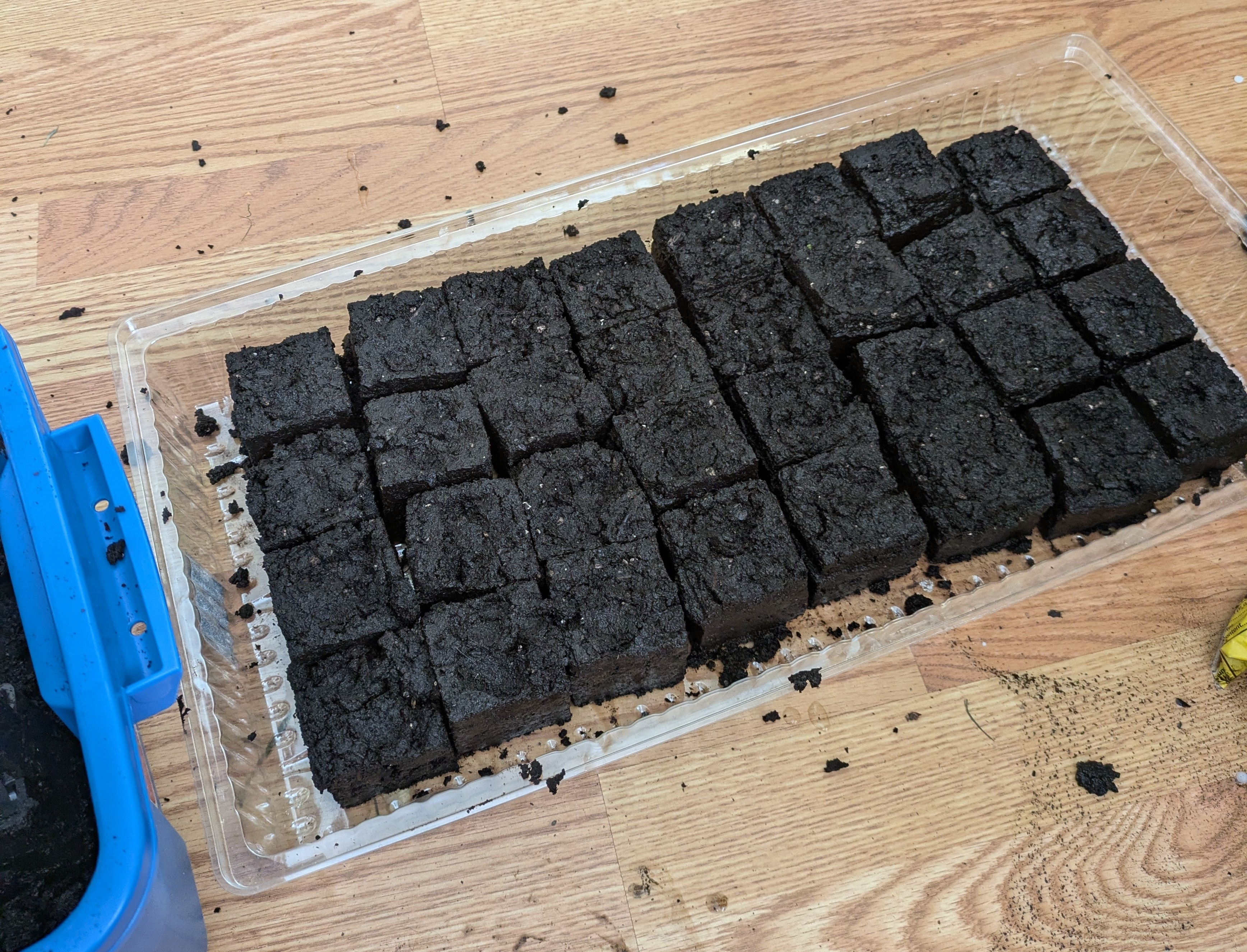 starting seeds indoors with soil blocking