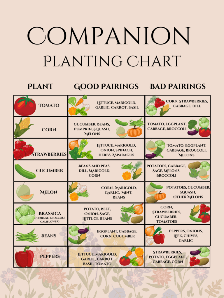 Companion Planting Chart