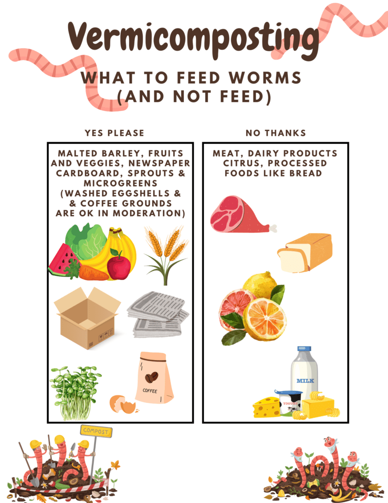 what to put in vermicomposting and what to feed your worms